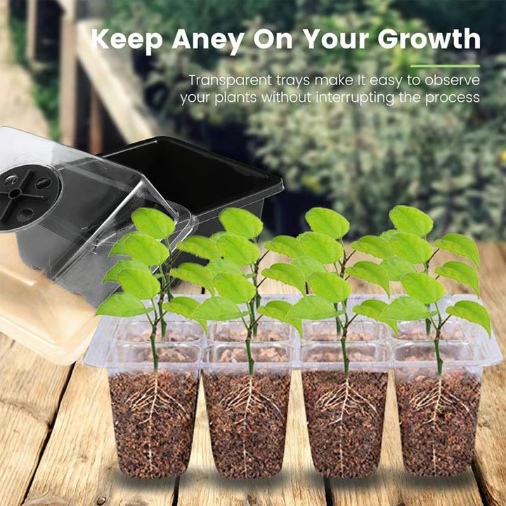 Adjustable Humidity Seed Starter Trays with Grow Light