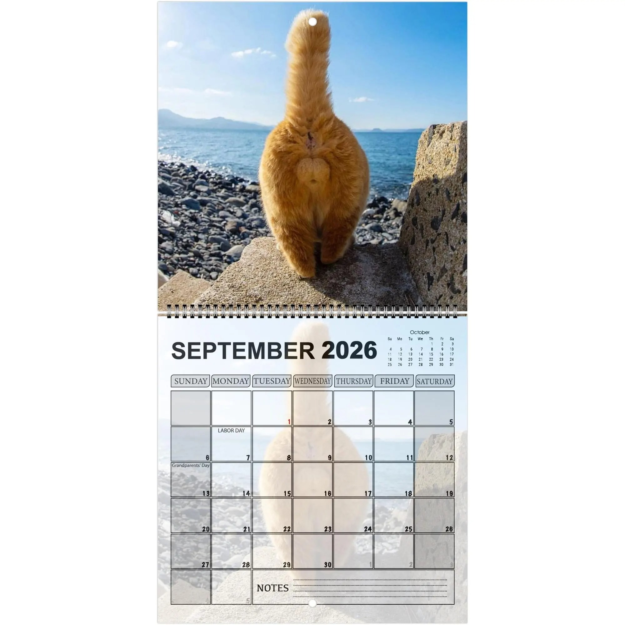 Cats' Buttholes 2026 Calendar: Funny Gag Gift for Cat Lovers