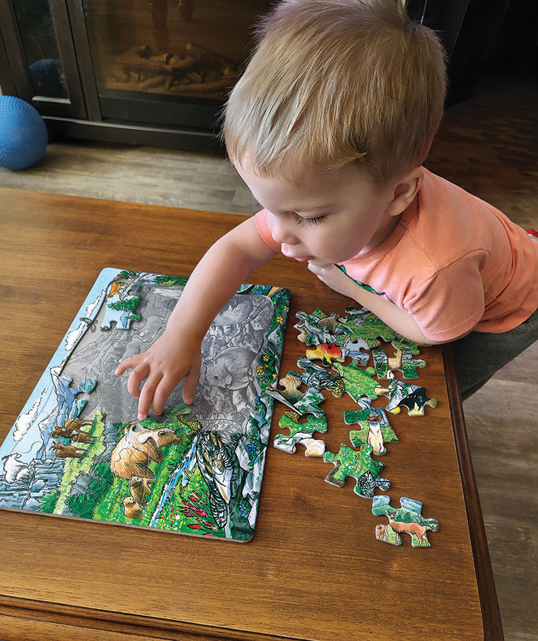 Rocky Mountain Wildlife (tray) | 35 Piece Tray