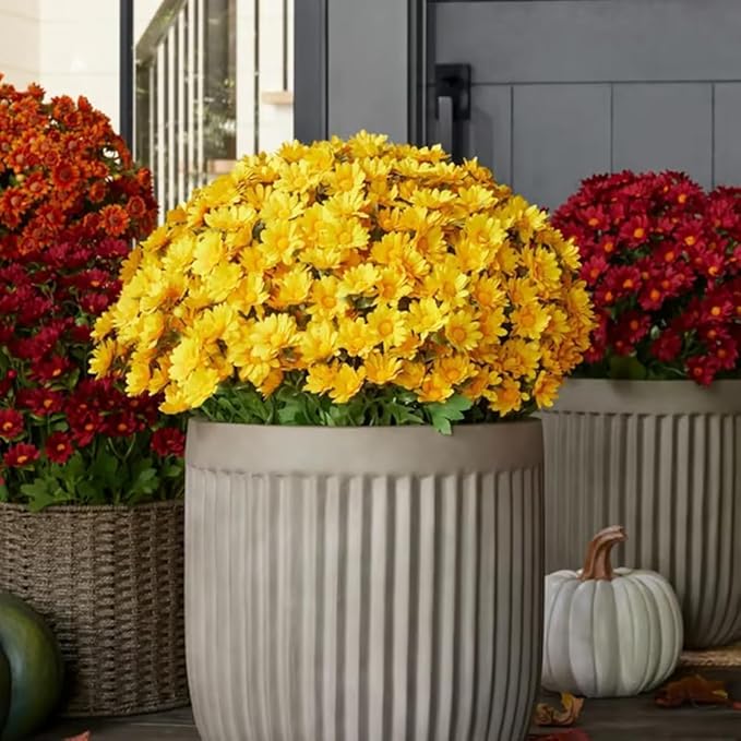 ⚡Flash Sale⚡ Artificial  FAUX MUMS for Fall  Decoration，Waterproof, UV-resistant