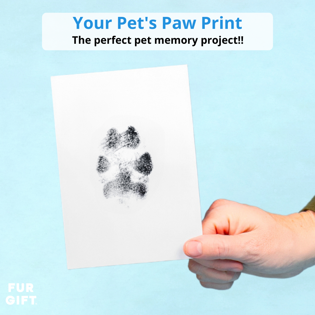 🐶Summer Hot Sale - 49% OFF 🐱Paw Print Stamp Pads