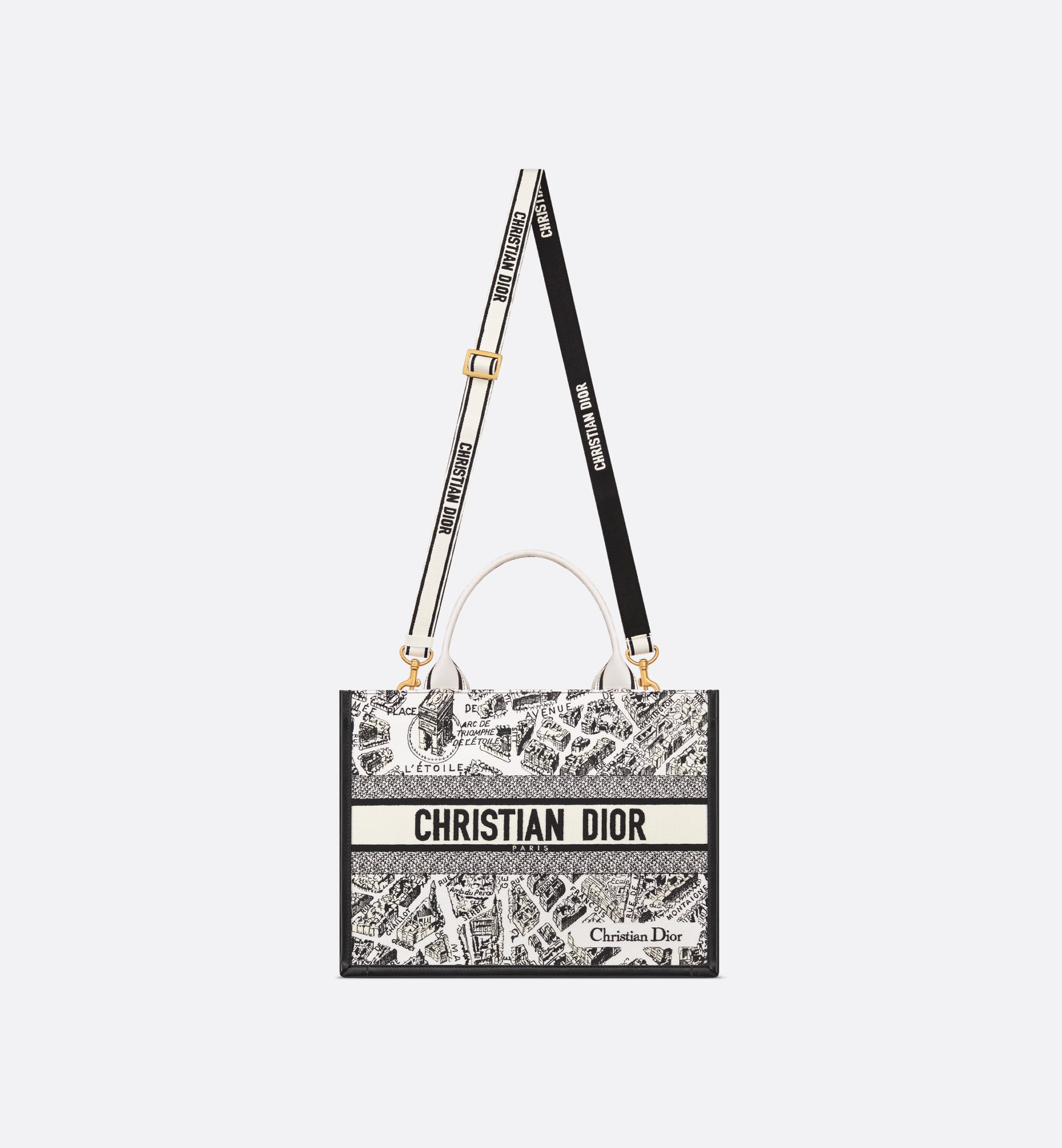 Dior Medium Book Tote Bag M1324CETJ_M081