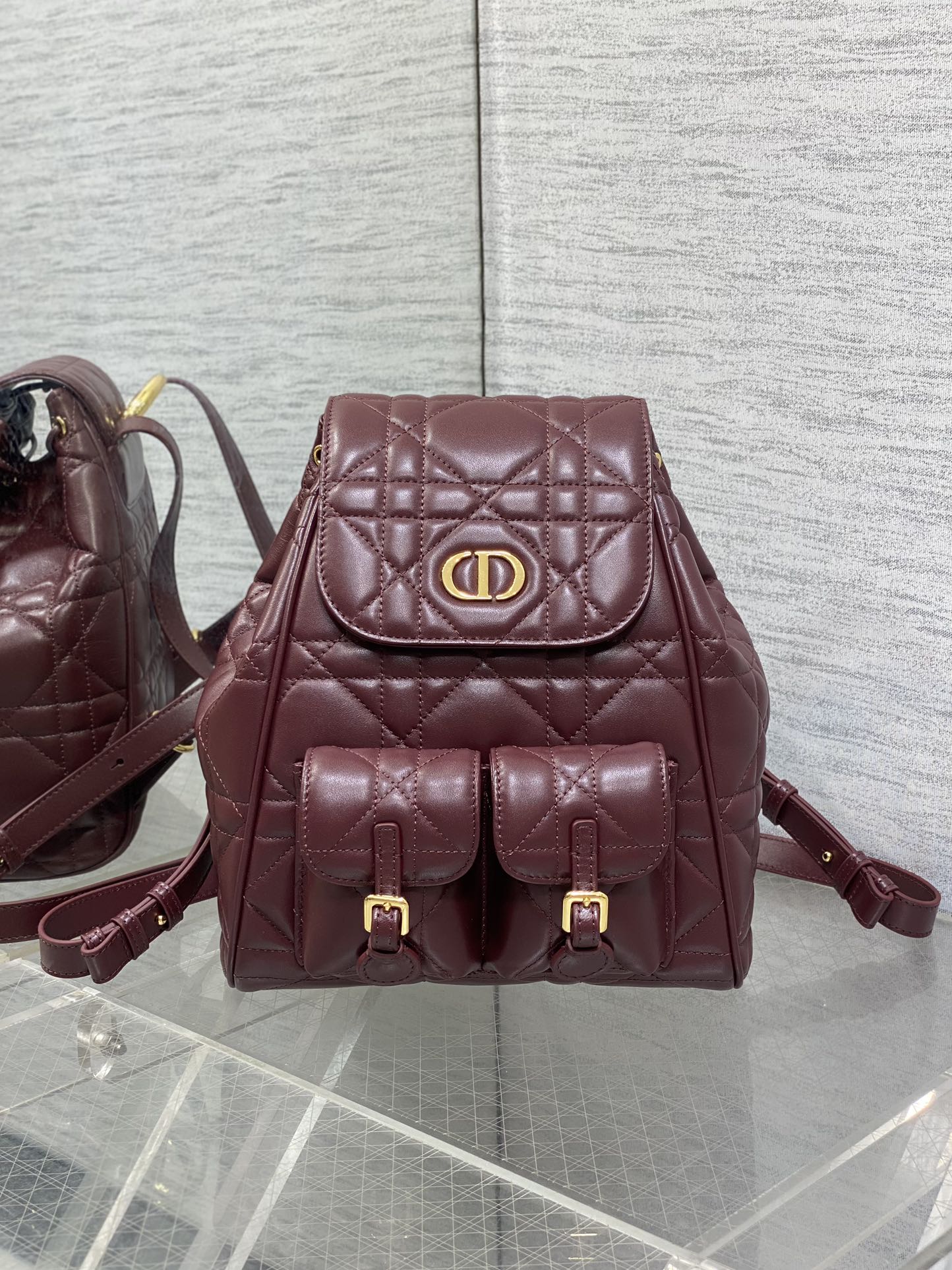 Dior Caro Fall/Winter Backpack