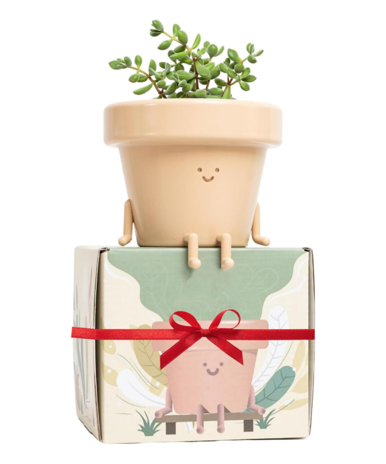 🔥HOT SALE🔥Happiest Little Indoor Planters On Earth