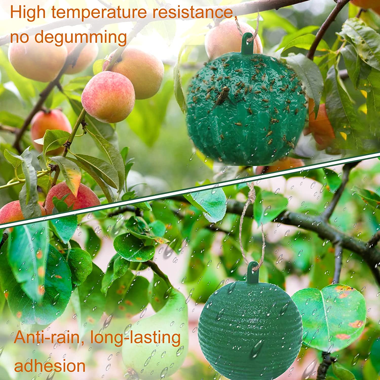 🔥Last Day Promotion - 50% OFF🔥Hanging Environmental Fruit Fly Traps Sticky Traps-BUY 5 GET 3 FREE
