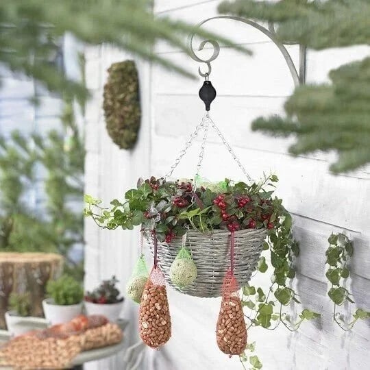 🔥Last Day Promotion - 50% OFF🔥🌳Plant Pulley Set For Garden Baskets Pots, Birds Feeder❤️❤️Buy 10 Get 5 Free && Plummet $20 👉Only $59.99