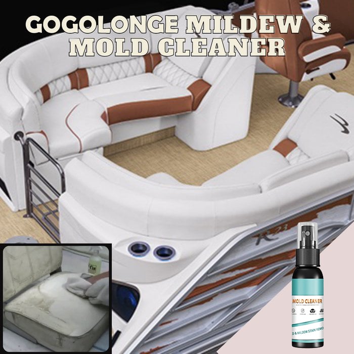 Mildew & Mold Cleaner