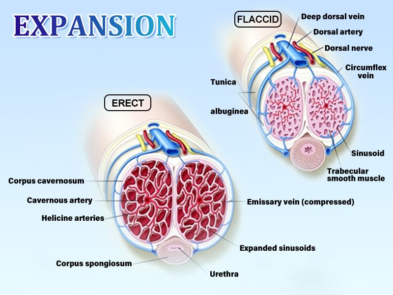 Electric Penis Enlarge Vacuum Pump with 4 Suction Intensities, Rechargeable Automatic High-Vacuum Penis Enlargement Extend Pump, Air Pressure Device Black