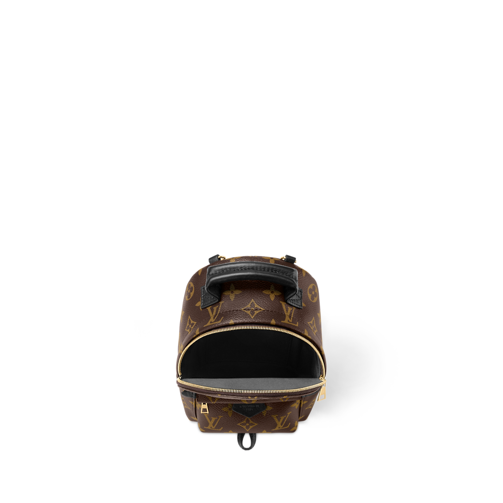 Louis Vuitton PALM SPRINGS Mini Backpack M44873