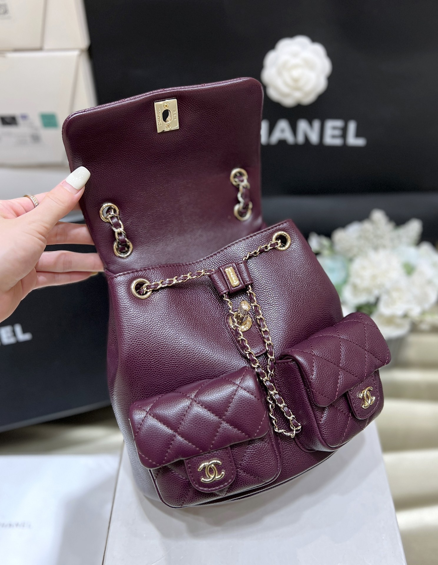 Chanel 24A duma double backpack 3860