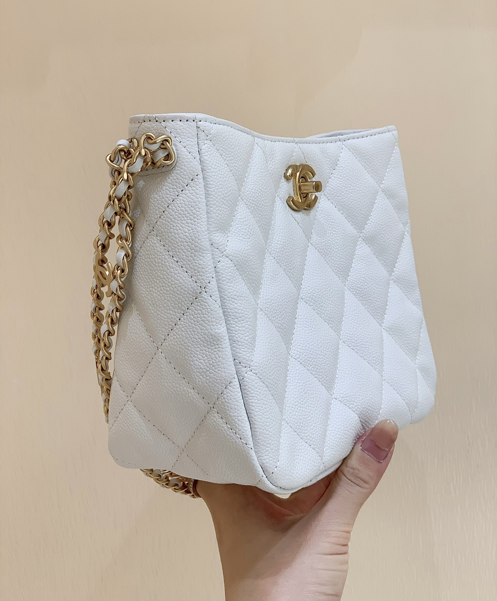 Chanel 2022cc Spring/Summer Collection Hobo Underarm Bag AS3223