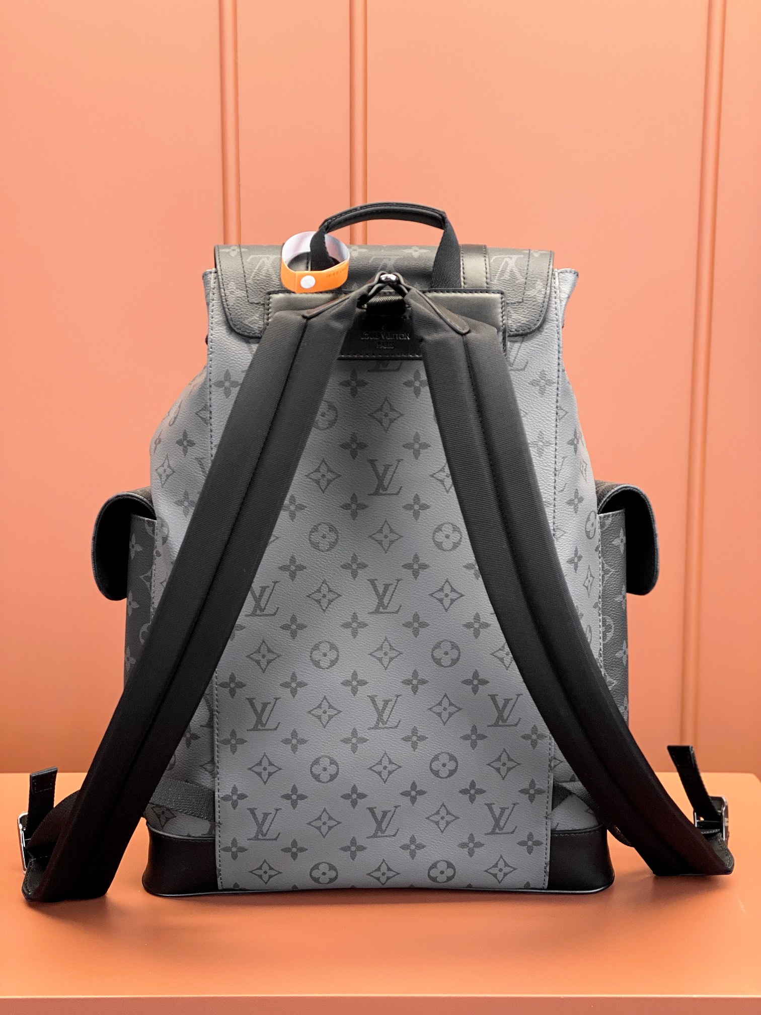 Louis Vuitton Christopher Medium Backpack M45419