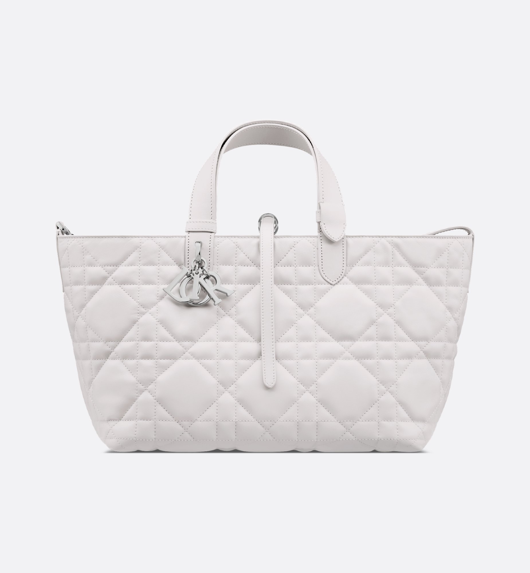 Dior Medium Dior Toujours Bag M2821PSNW_M19G