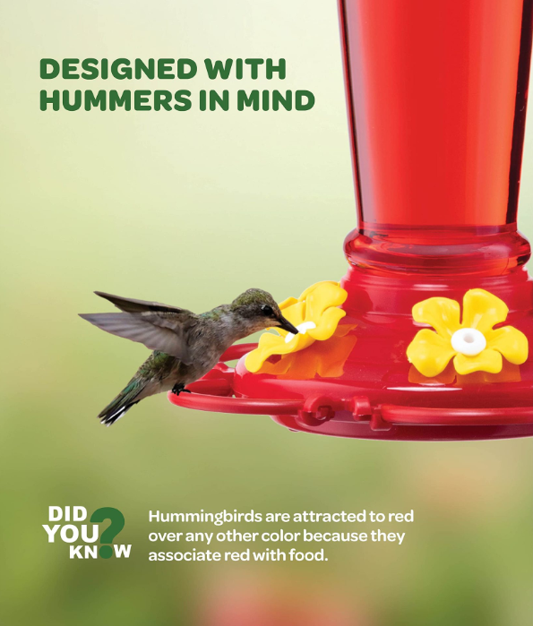 💥Hanging Outdoor Hummingbird Feeder🐦 50% OFF🎁