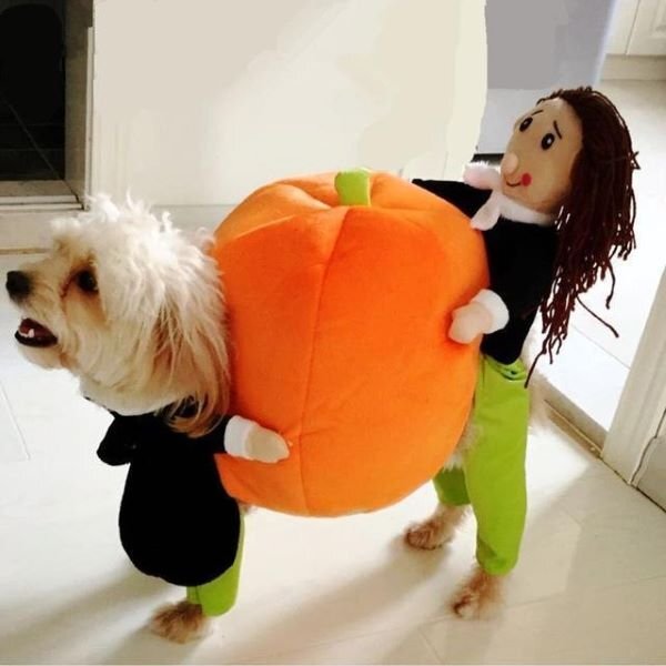 (🎃Early-Halloween Hot Sale-48%OFF) Pet Dog Pumpkin Halloween Costume