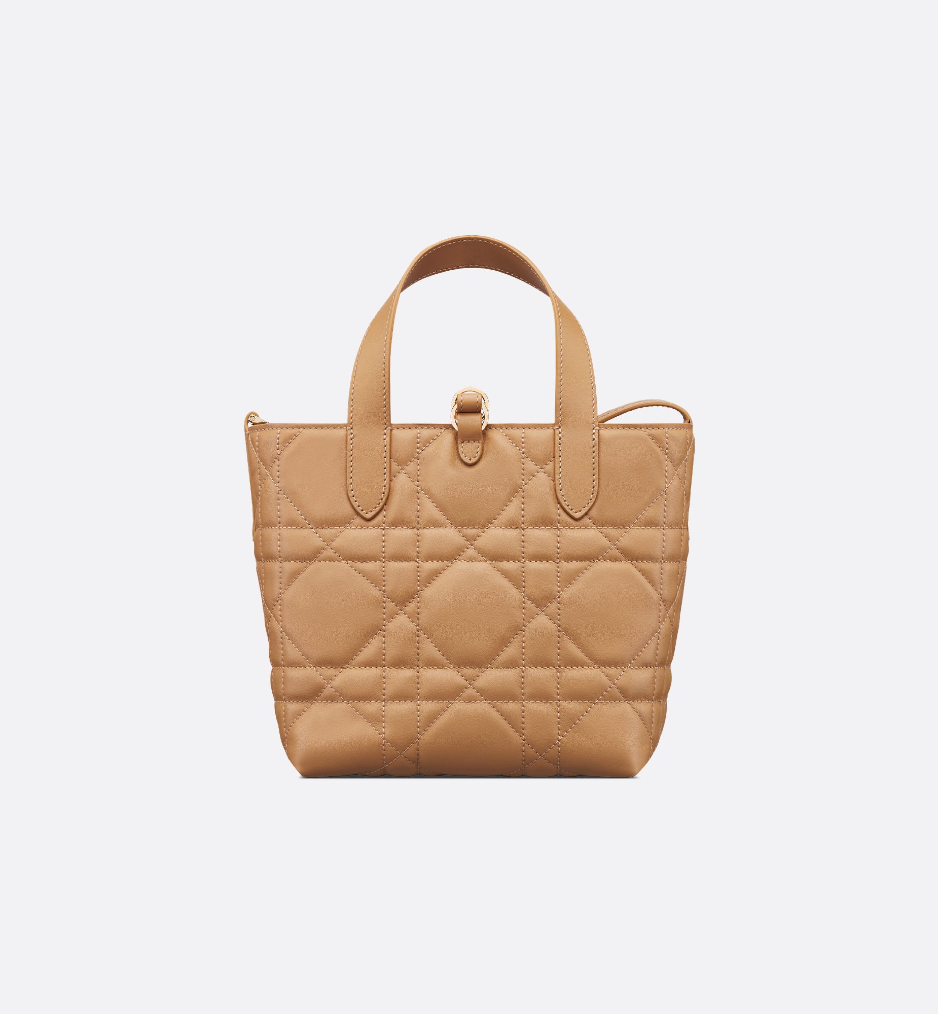 Dior Small Dior Toujours Vertical Bag M2835OSNW_M53U