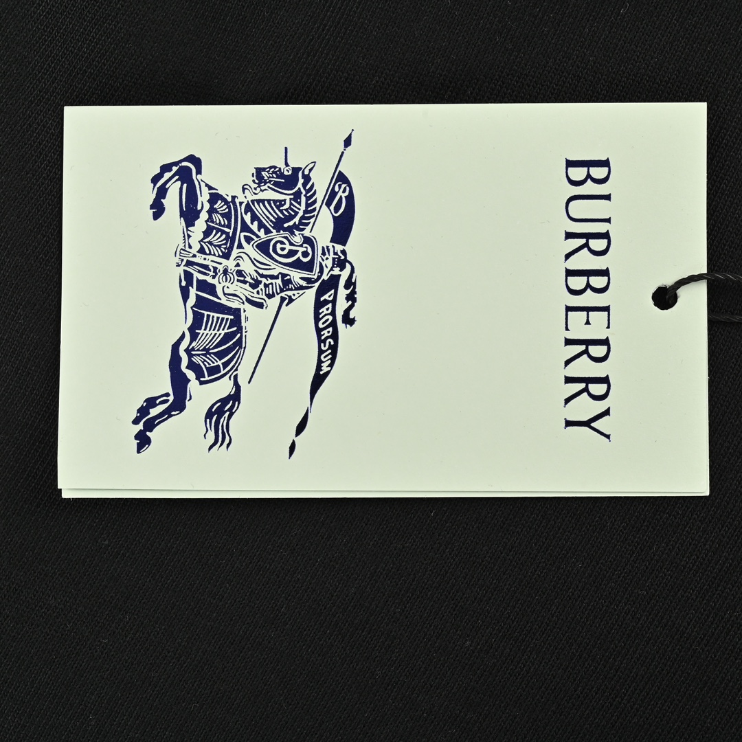 Burberry 24Fw Warhorse Logo 3D Laminated Long Sleeve T-shirt