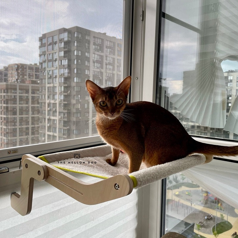 HOT SALE🔥 Comfortable Cat Hammock Bed - No Drilling No Suction Cup