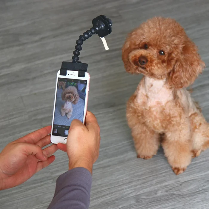 🔥Last Day Promotion - 50% OFF🔥Lovely pet selfie stick