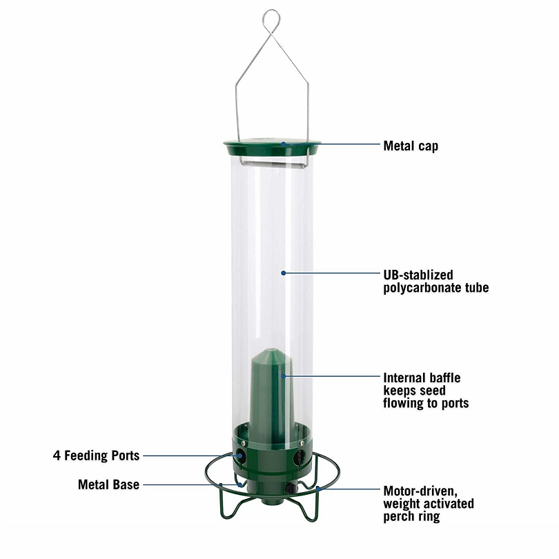 🔥BUY 2 GET 1 FREE🔥Squirrel-Proof Bird Feeder【Just $29.96】