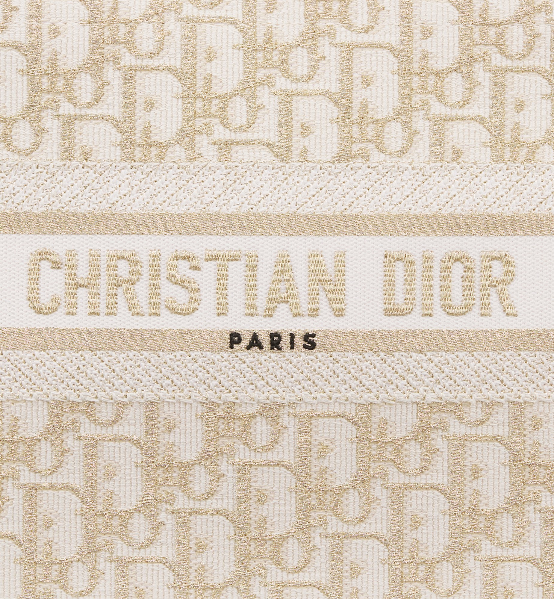 Dior Small Book Tote Bag M1325CZDL_M01E