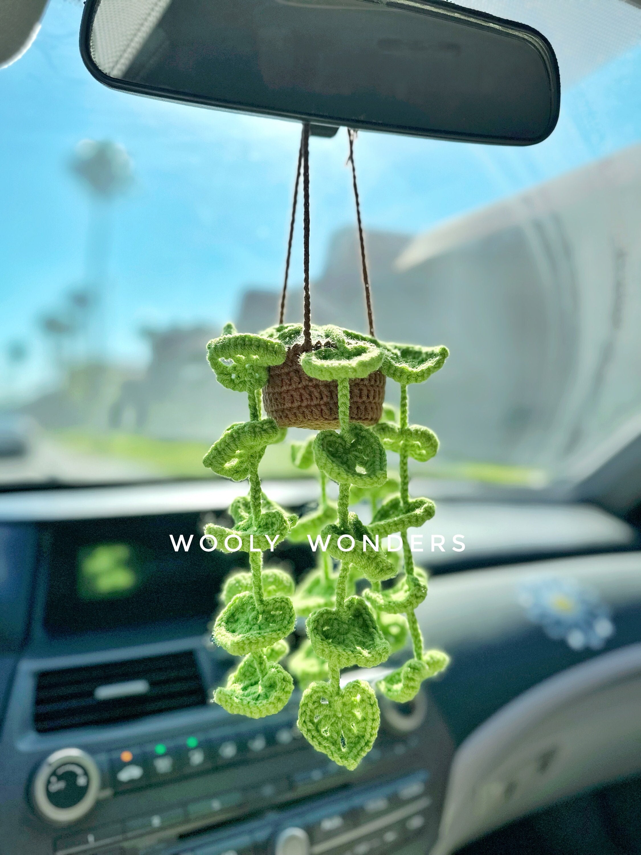 🌸Handcrafted Crochet Hanging Plants🌸