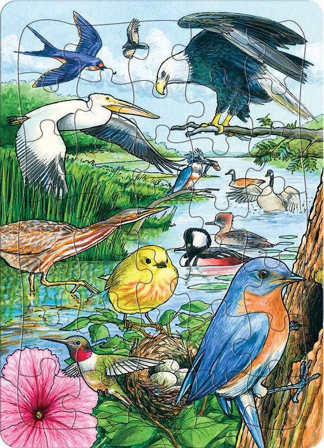 North American Birds (tray) | 35 Piece Tray