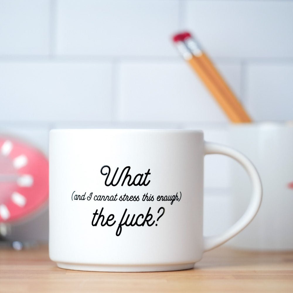 I CANNOT STRESS THIS ENOUGH (WTF) ...COFFEE MUG