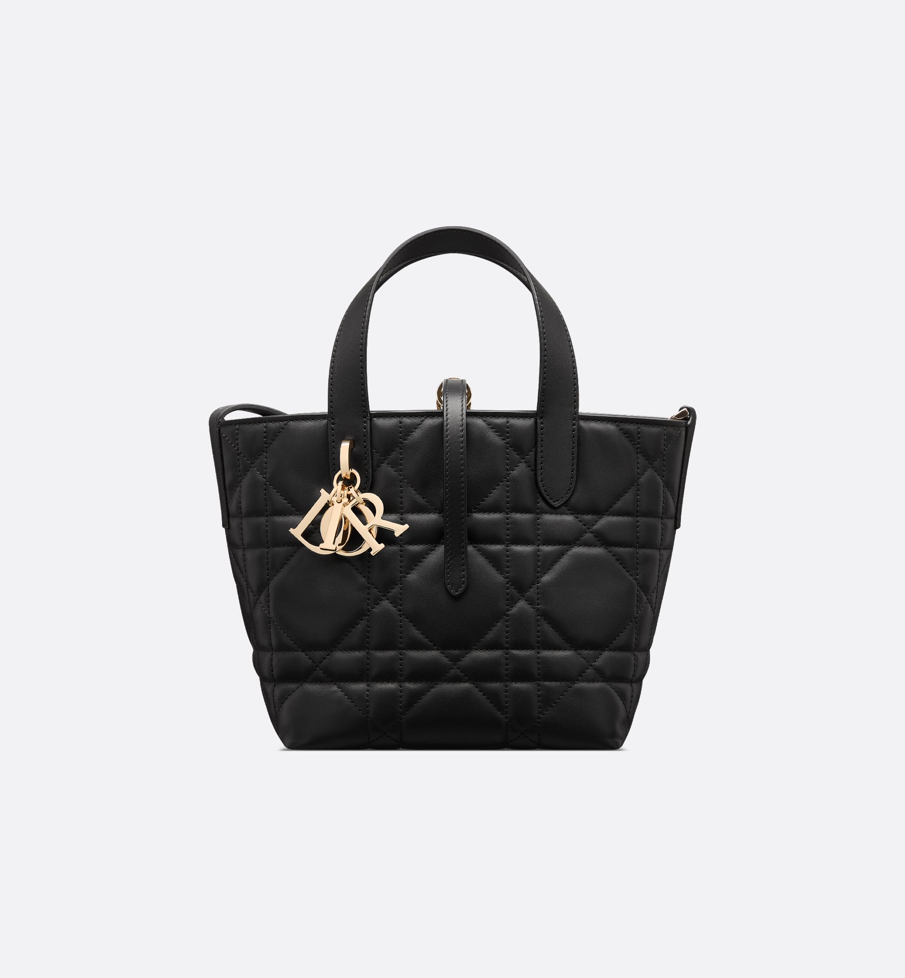 Dior Small Dior Toujours Vertical Bag M2835OSNW_M900