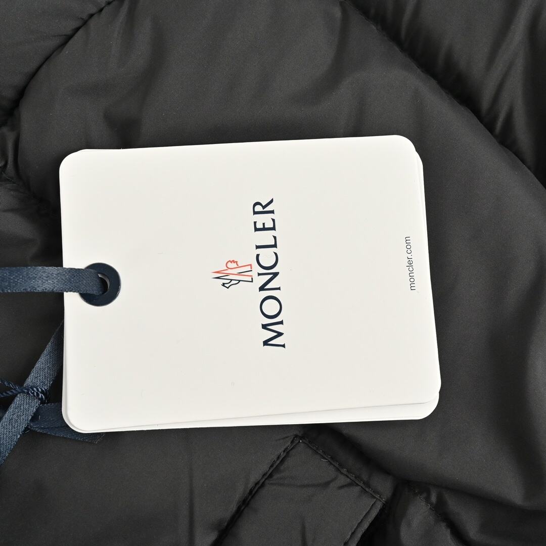Moncler Vezere' goose down matte down jacket