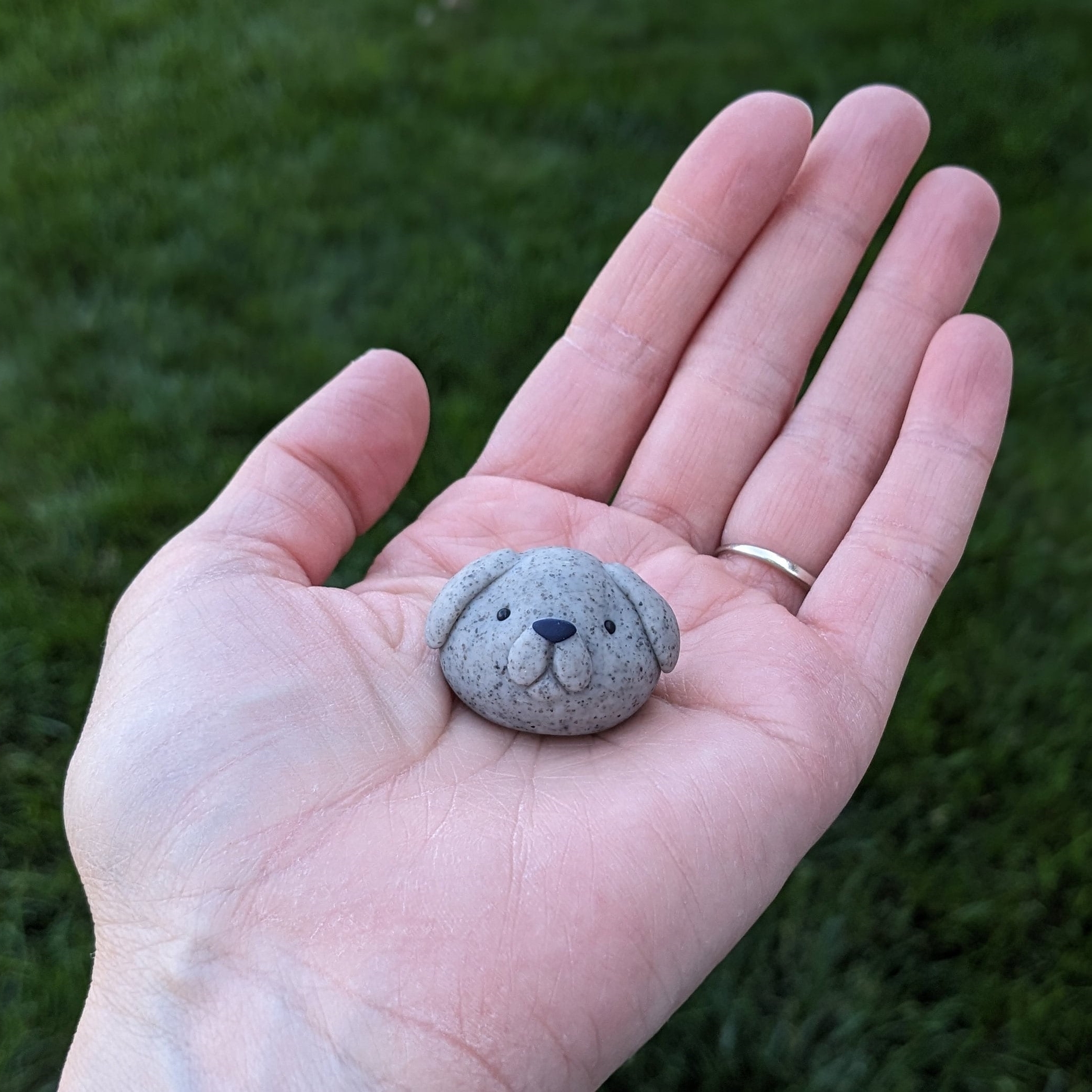 On Sale🔥Adopt A Rock Pet