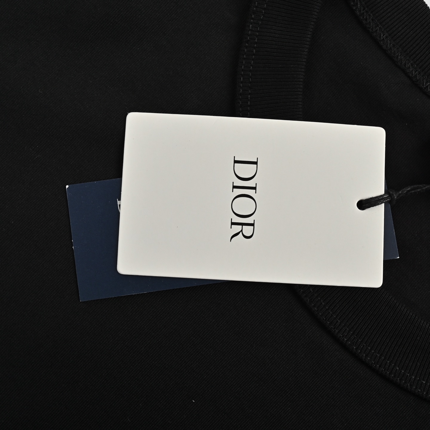 Dior 24ss colorful oblique letter print short sleeves