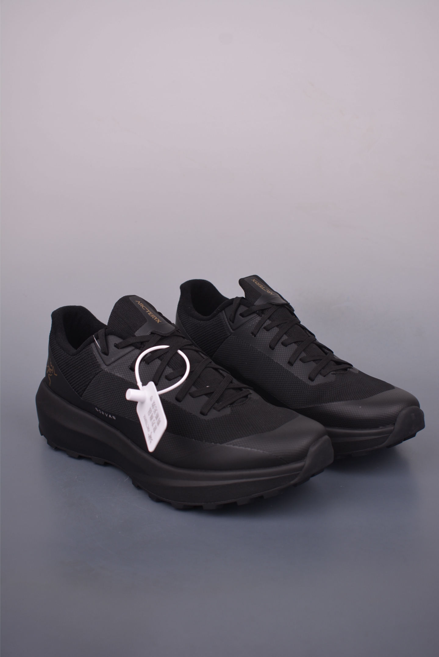 Arc'teryx NORVAN LD 4 GTX running shoes 