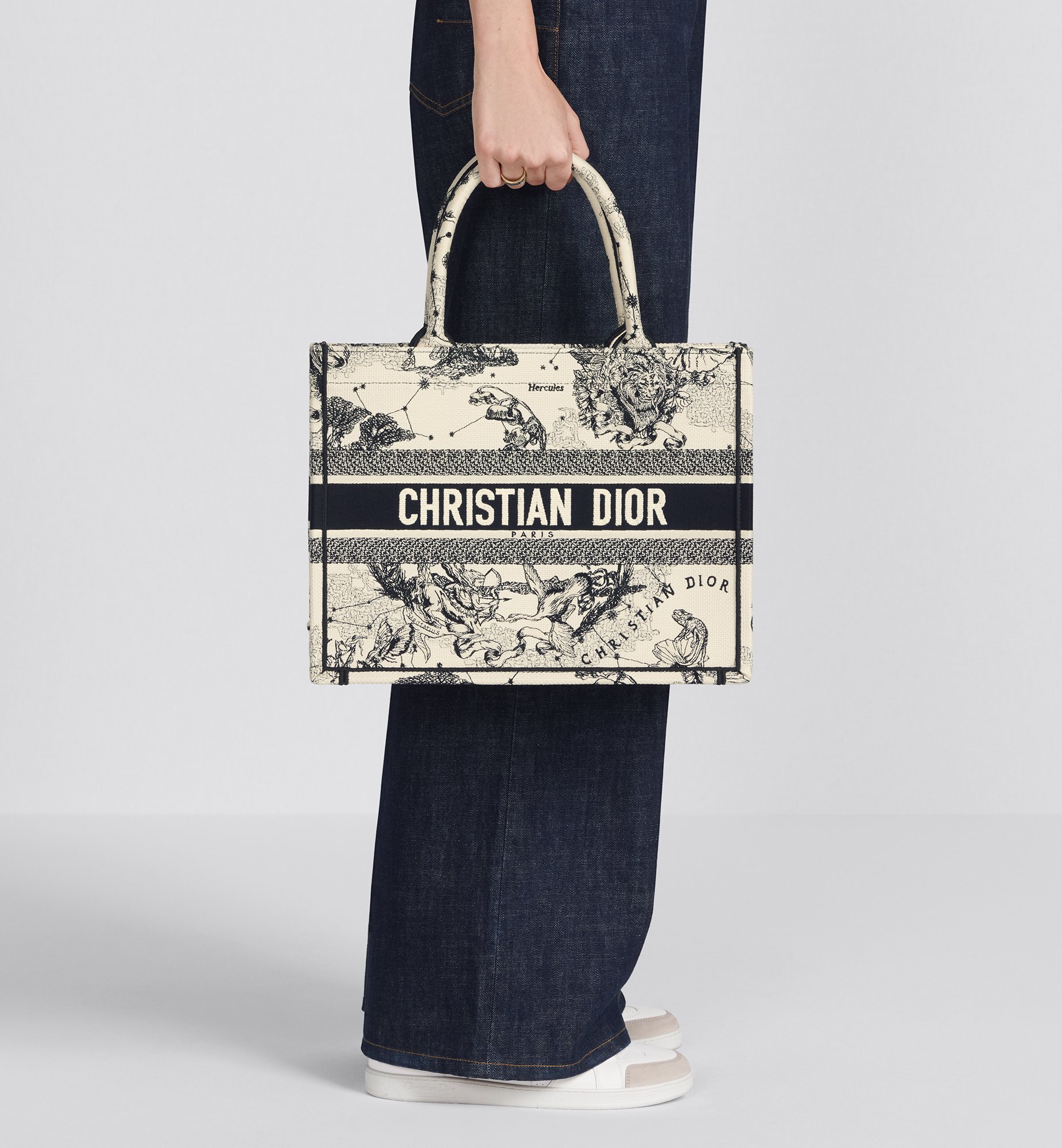Dior Medium Book Tote Bag M1296ZRHZ_M06E