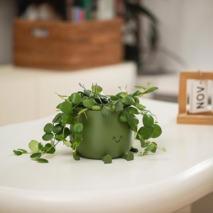 Cute Smiley Face Flower Pot💥 (Self-Watering Flower Pot with Drainage Hole)