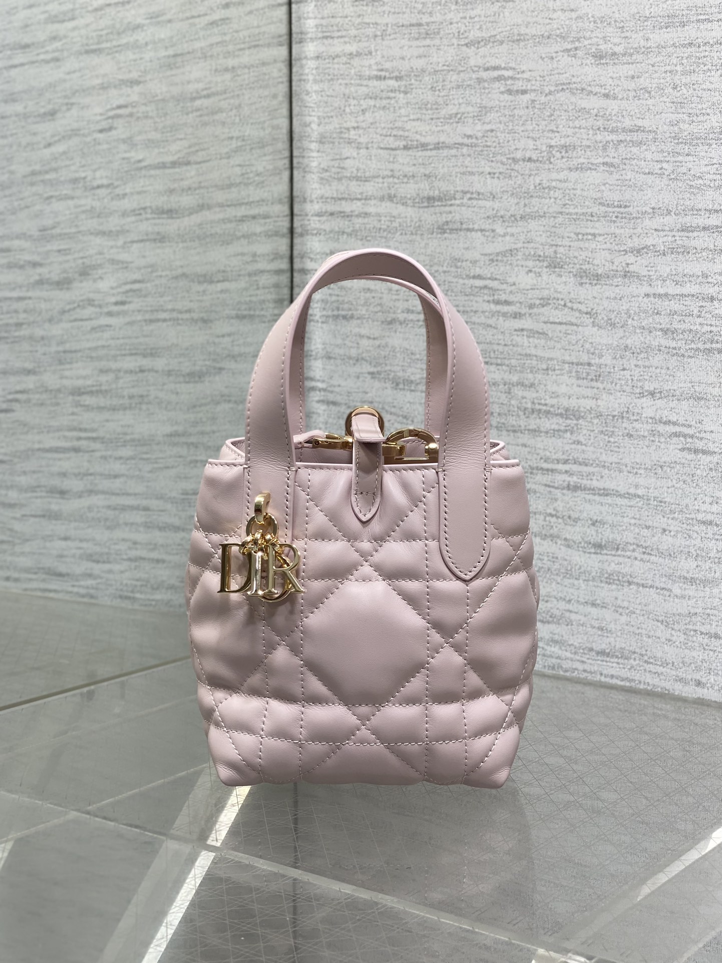 Dior Toujours vertical series mini