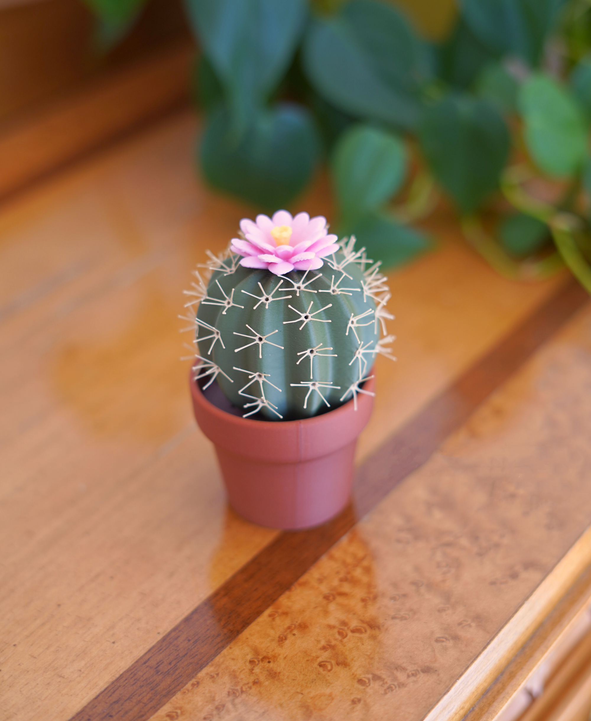 🔥On Sale🔥Cactus Salt and Pepper Shaker