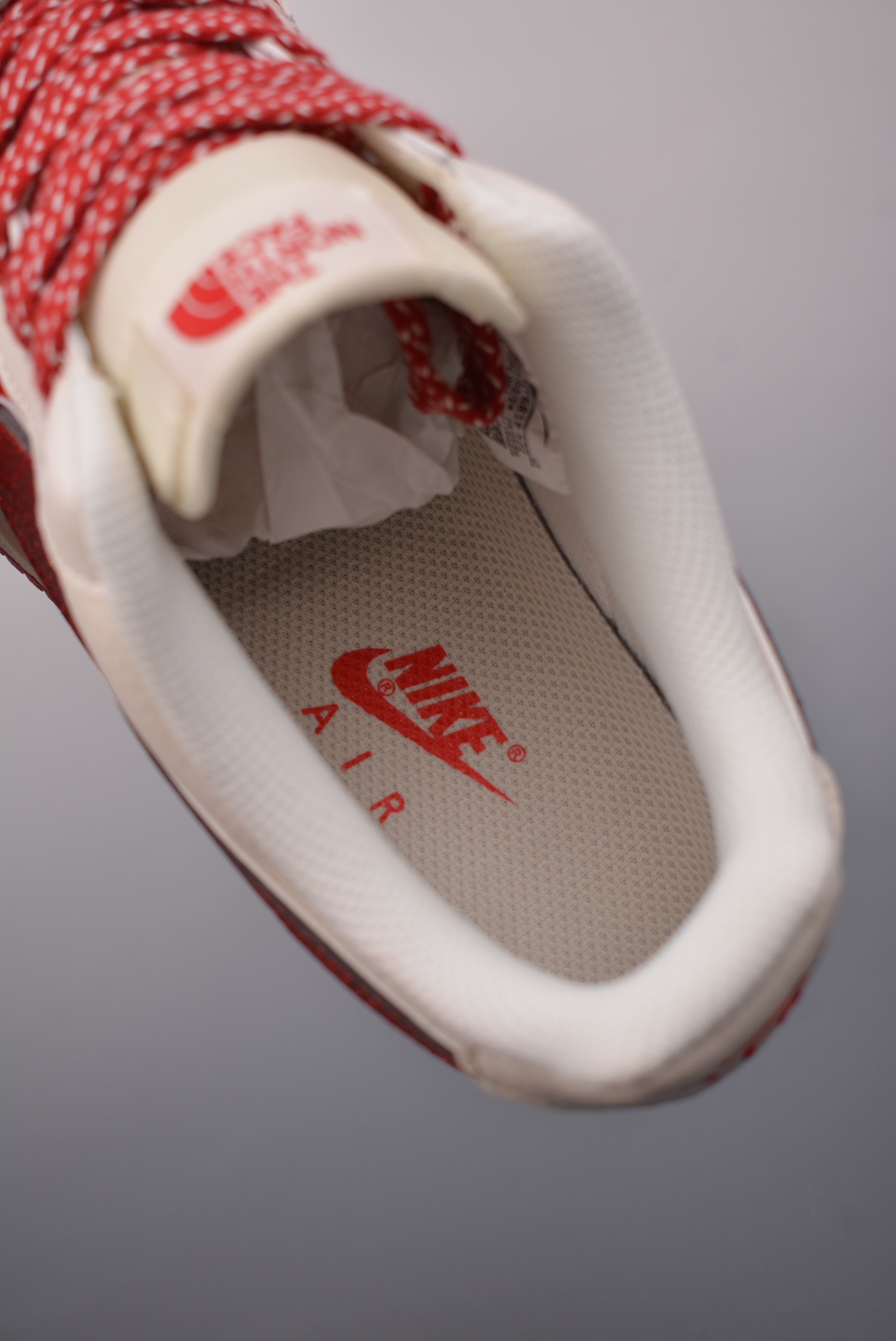 The North Face x Nike Air Force 1 Low Snake Year Limited Edition QY6818-522