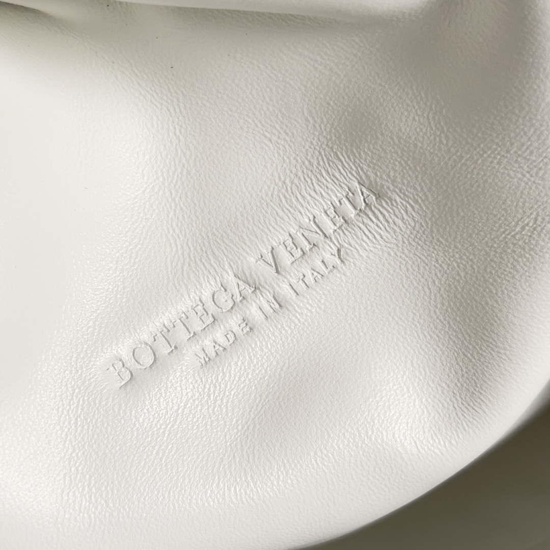 Bottega Veneta POUCH crocodile pleated cloud bag 576227