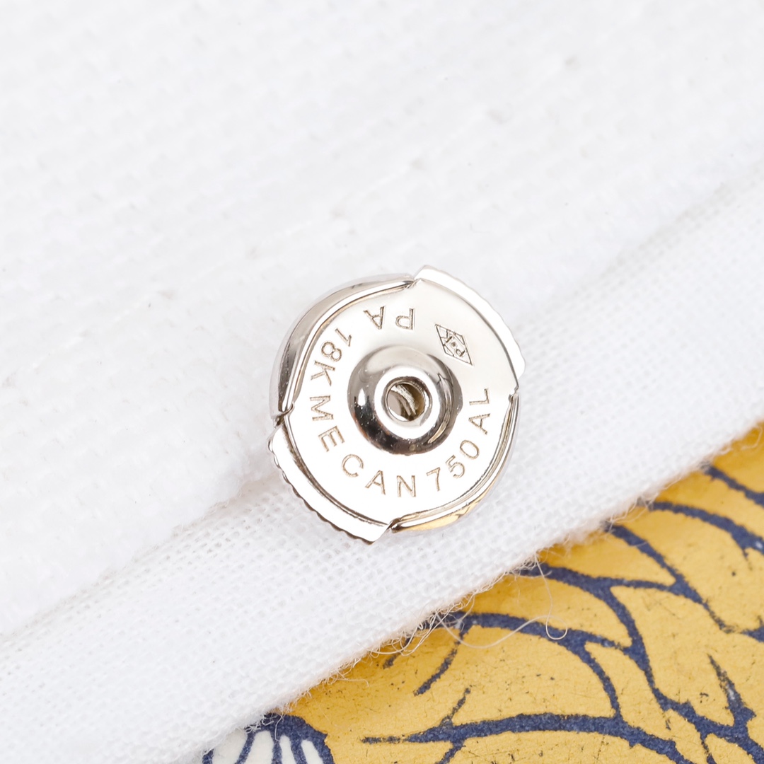 Dior Compass Earrings