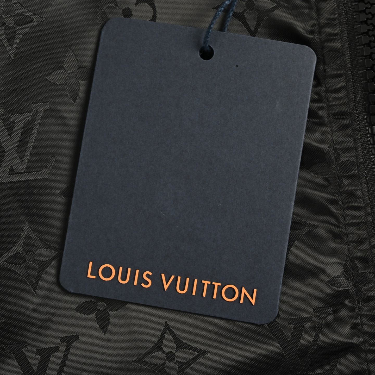Louis Vuitton leather badge obscure monogram reversible jacket