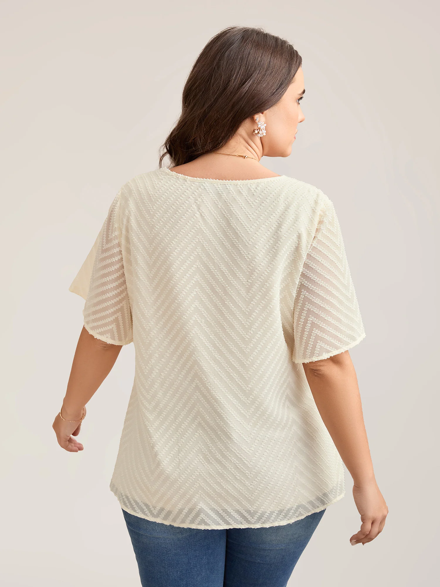 Textured Sheer Ruffled Sleeve Blouse