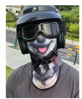 2024 new 3D sun protection ear-hung animal mask