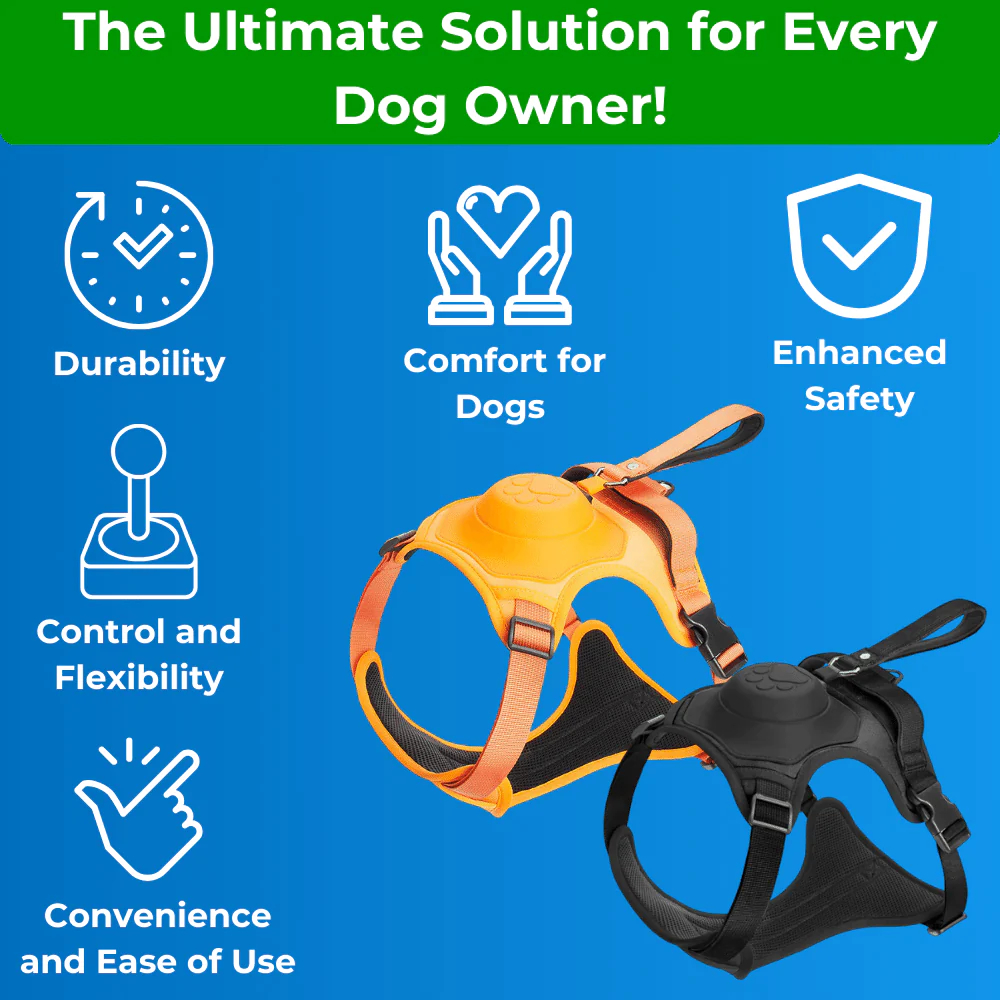 ComfyWalk - Comfort and Control in One