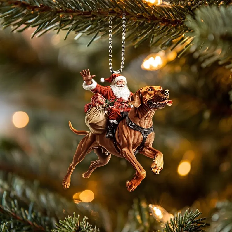 Santa and Animal Ornament