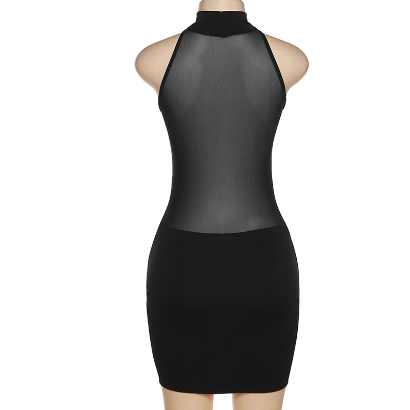 See Through Mesh Plam Sexy Dress