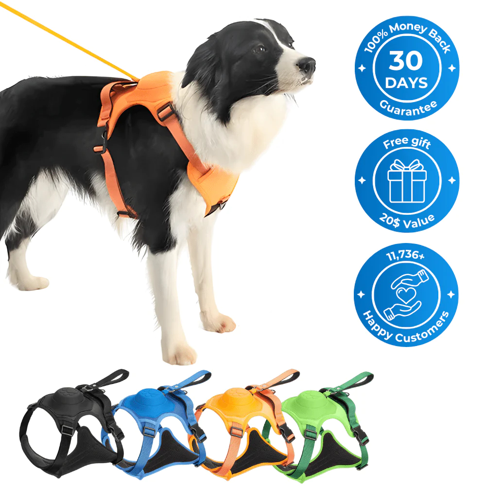 ComfyWalk - Comfort and Control in One