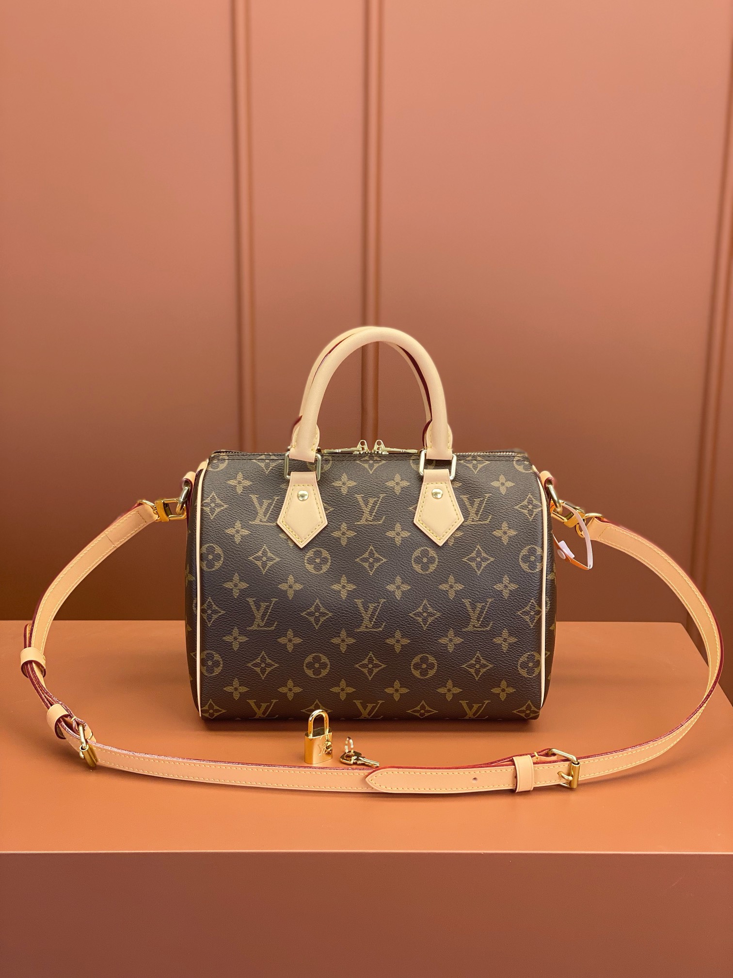Louis Vuitton SPEEDY 25 Handbag M41113