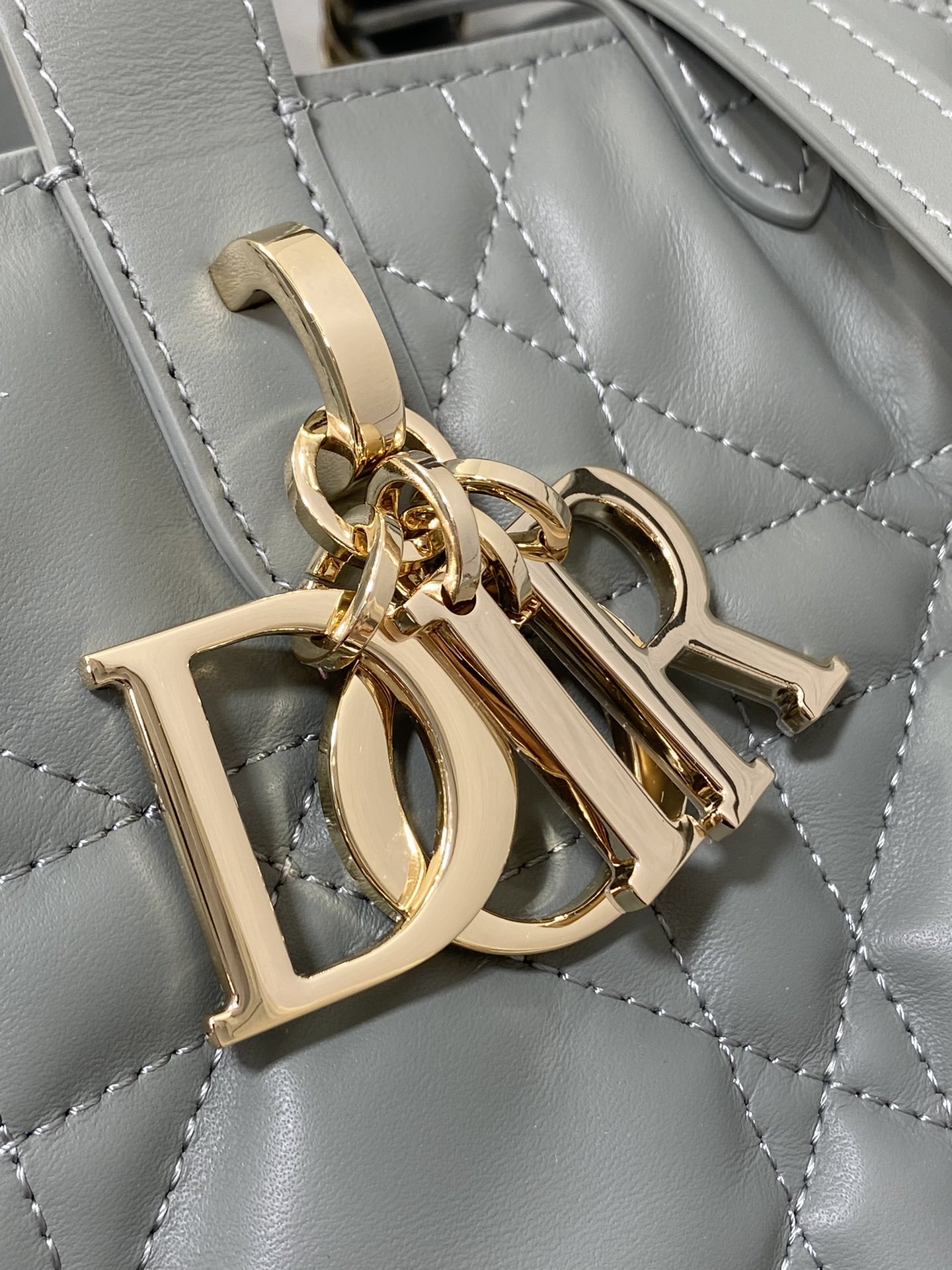 Dior Toujours Vertical Series Medium