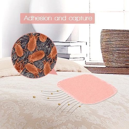 🔥Dust Mite Killing Pad